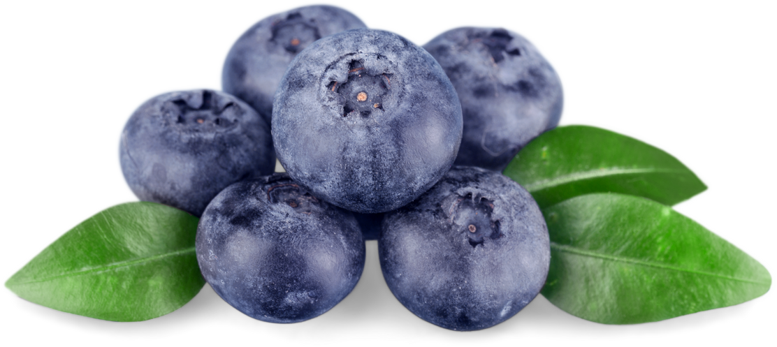 Blueberries with Leaves